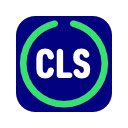 Сumulative layout shift  screen for extension Chrome web store in OffiDocs Chromium