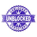 Unblocked  screen for extension Chrome web store in OffiDocs Chromium