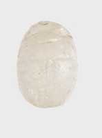 Free download Uninscribed Scarab from Malqata free photo or picture to be edited with GIMP online image editor