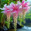 Unique, eye catching flower wallpaper  screen for extension Chrome web store in OffiDocs Chromium