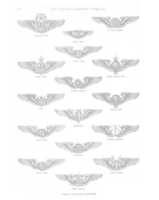 Free download United States Army Aviation Badges of World War Two free photo or picture to be edited with GIMP online image editor
