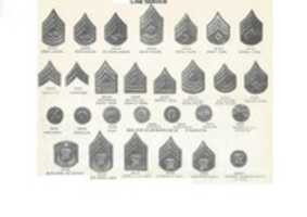 Free download United States Army Chevrons, 1902-1918 free photo or picture to be edited with GIMP online image editor