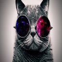 Universe Cat  screen for extension Chrome web store in OffiDocs Chromium