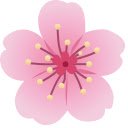 Unlimited Free Screen Recorder Bloom  screen for extension Chrome web store in OffiDocs Chromium