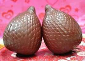 Free download Unyu 2 Lucu Jumbo Salak Fruit Squishy Snake Fruit free photo or picture to be edited with GIMP online image editor