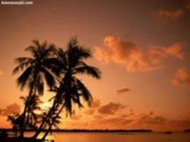 Free download url free photo or picture to be edited with GIMP online image editor