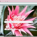 Urn Plant  screen for extension Chrome web store in OffiDocs Chromium