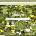 Utricularia  screen for extension Chrome web store in OffiDocs Chromium