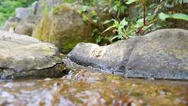 Free download Valley Streams Nature -  free video to be edited with OpenShot online video editor