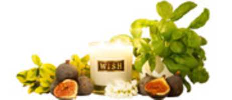 Free download Vanilla Candle free photo or picture to be edited with GIMP online image editor