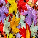 Variegated leaves Theme  screen for extension Chrome web store in OffiDocs Chromium