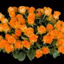 Vase of yellow rose  screen for extension Chrome web store in OffiDocs Chromium