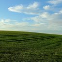 Vast green fields  screen for extension Chrome web store in OffiDocs Chromium
