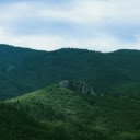 Vast Green Forest  screen for extension Chrome web store in OffiDocs Chromium