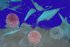 Free download vb02/19 illust. free photo or picture to be edited with GIMP online image editor