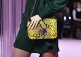 Free download Vegan Leather Handbags free photo or picture to be edited with GIMP online image editor