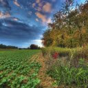 Vegetable field  screen for extension Chrome web store in OffiDocs Chromium