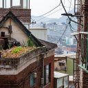 vegetable garden on the roof  screen for extension Chrome web store in OffiDocs Chromium