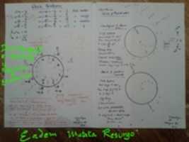 Free download -Ve Gravity :  Matagouri 30july 2019 free photo or picture to be edited with GIMP online image editor