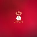 VelVet  screen for extension Chrome web store in OffiDocs Chromium