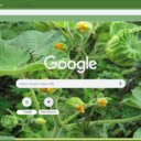 Velvetleaf  screen for extension Chrome web store in OffiDocs Chromium