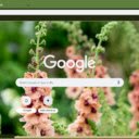Verbascum  screen for extension Chrome web store in OffiDocs Chromium