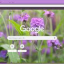 Verbena Rigida  screen for extension Chrome web store in OffiDocs Chromium