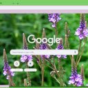 Vervain  screen for extension Chrome web store in OffiDocs Chromium