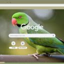 Vet  screen for extension Chrome web store in OffiDocs Chromium