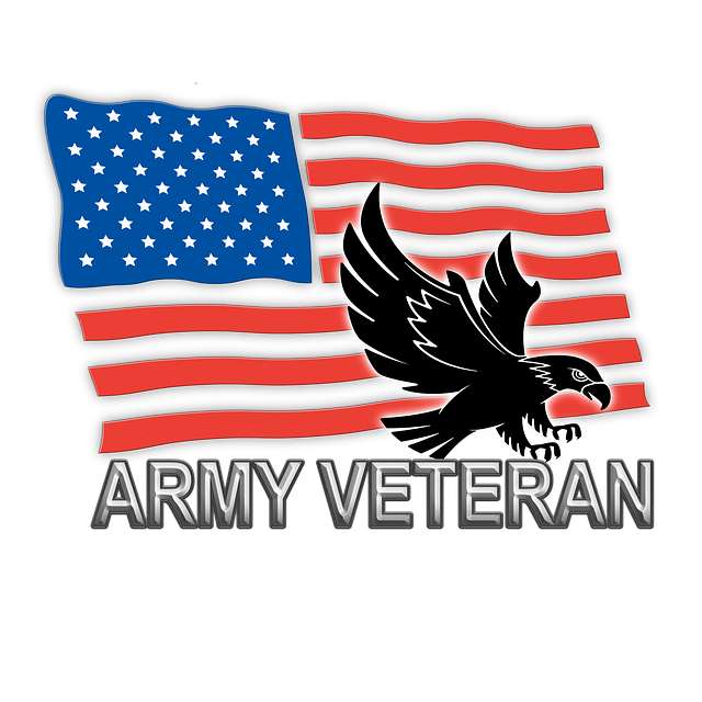 تنزيل Veteran Flag مجانًا - رسم توضيحي مجاني ليتم تحريره باستخدام محرر الصور المجاني على الإنترنت GIMP