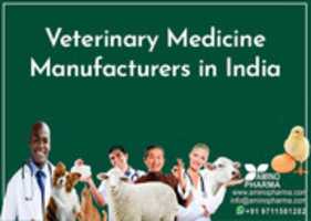 Free download Veterinary Medicine Manufacturers In India free photo or picture to be edited with GIMP online image editor