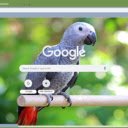 Vet Xam  screen for extension Chrome web store in OffiDocs Chromium