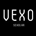 VEXO  screen for extension Chrome web store in OffiDocs Chromium
