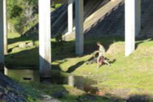 Free picture Viaje a Las Flores to be edited by GIMP online free image editor by OffiDocs