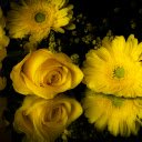 vibrant array of yellow flowers in full bloom  screen for extension Chrome web store in OffiDocs Chromium