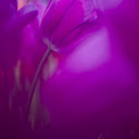 Vibrant Haze  screen for extension Chrome web store in OffiDocs Chromium
