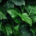 Vibrant Tropical Leaves  screen for extension Chrome web store in OffiDocs Chromium