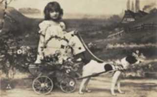 הורדה חינם של נערה ויקטוריאנית עם כלב (1900) תמונה או תמונה בחינם לעריכה עם עורך התמונות המקוון GIMP