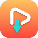 Viddex Video Downloader  screen for extension Chrome web store in OffiDocs Chromium