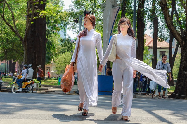 Scarica gratuitamente l'immagine tradizionale del vestito bianco dal vietnam da modificare con l'editor di immagini online gratuito GIMP