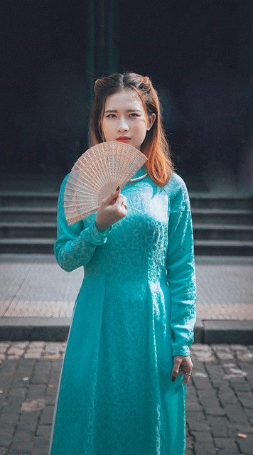 免费下载越南女性传统服饰免费图片，使用 GIMP 免费在线图像编辑器进行编辑