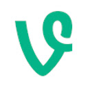 Vine scherm voor uitbreiding Chrome webwinkel in OffiDocs Chromium