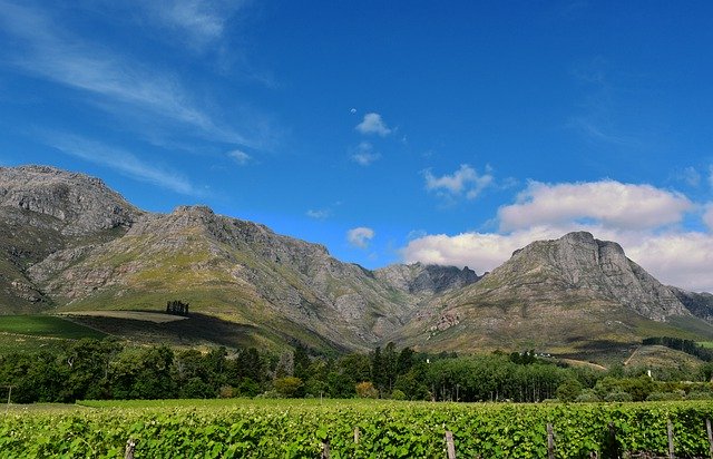 Free download vineyard countryside nature free picture to be edited with GIMP free online image editor