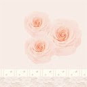 Vintage Princess Lace  screen for extension Chrome web store in OffiDocs Chromium