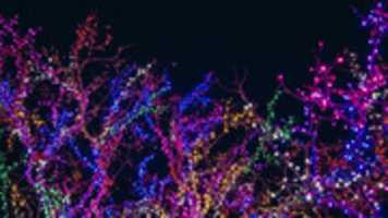 Free download Visual BUDU ( 1) free photo or picture to be edited with GIMP online image editor