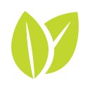 Vitality  screen for extension Chrome web store in OffiDocs Chromium