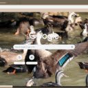 Vit troi  screen for extension Chrome web store in OffiDocs Chromium