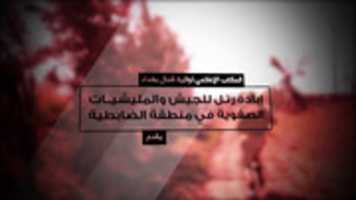 Free download vlcsnap-2015-04-26-01h19m09s168 free photo or picture to be edited with GIMP online image editor