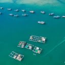 Vĩnh Hy Bay – A Hidden Paradise on Vietnam’s Coast  screen for extension Chrome web store in OffiDocs Chromium