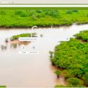 Vườn quốc gia Xuân Thủy  screen for extension Chrome web store in OffiDocs Chromium